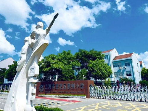 践行教育家精神 做于漪式好老师 上海市嘉定区紫荆小学 涵养匠心 厚植情怀