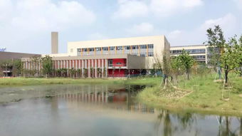 幼儿园和小学就想入国际学校 一篇文章告诉你苏城有哪些选择