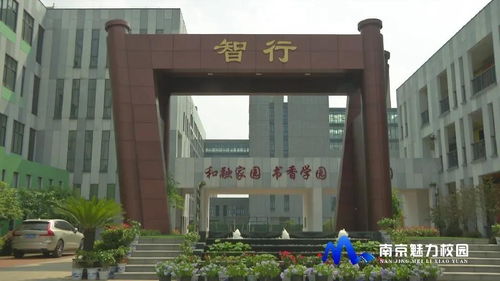 动态丨南京市丁家庄第二小学开展庆 六一 系列活动