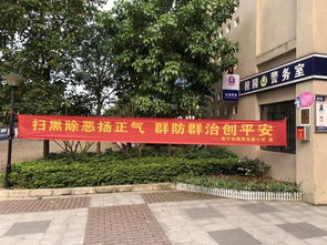 扫黑除恶 共建平安校园 南宁市明秀东路小学开展扫黑除恶专项宣传教育