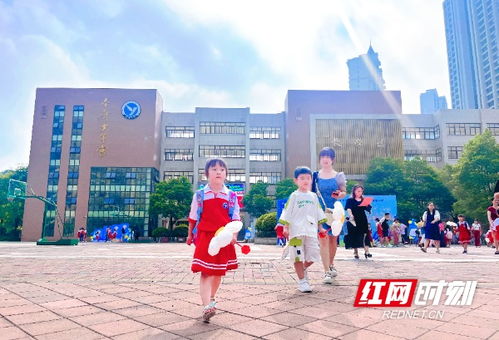 你好,新学期丨准备上学 一年级 萌宝 来校报到