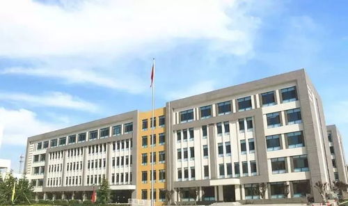 一跃成黑马,主城区 隐藏 的潜力股居然在这里