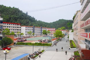 重磅消息 十堰城中心1所中学和1所小学要搬了 还有...