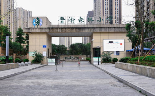 重庆市九龙坡区晋渝森林小学校