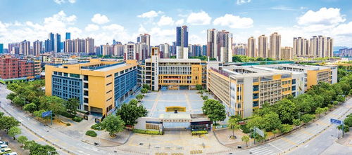 惠州市南坛小学鼎峰分校兴创 鼎一 文化引领师生鼎行致远共创卓越