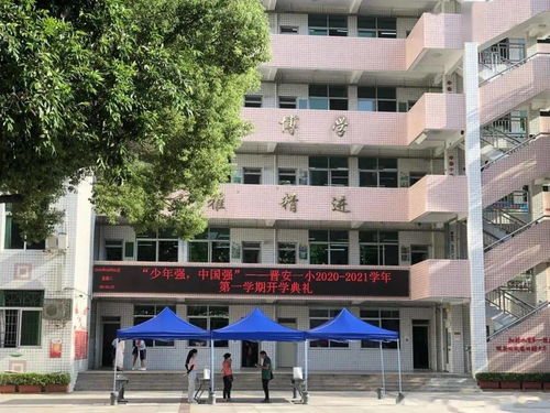 听说这个区没有 好小学 一起来扒一扒这个区的优质小学