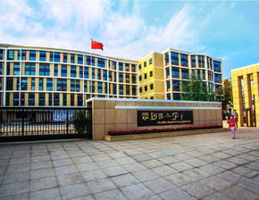 郑州市中原区淮河路小学 奔跑在教育改革之路上