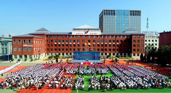 营口有礼日 营口新闻传媒中心新媒体中心青年文明号在行动