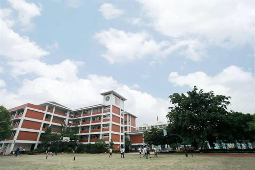 成华优质教育中的子弟校基因——以温州市黄龙第一小学为例