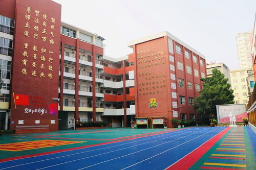 多所小学招生及校区布局迎新动态，云师大附小文林校区、红旗小学与温州黄龙第一小学引关注