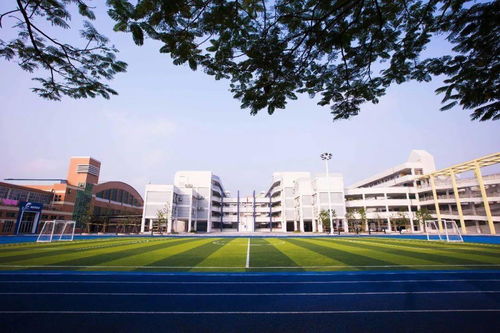 大良实验小学一年级新生入学指南