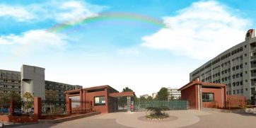 温州教育新篇章 黄龙第一小学引领2019年教育创新