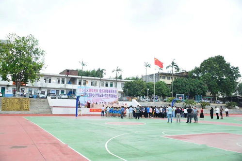 跨越校区的活力盛典 石龙镇中心小学第三届小学生田径运动会于石龙二中成功举办