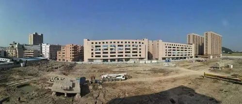 温州三乡镇入选省小城市培育试点，教育发展迎来新契机——以黄龙第一小学为例