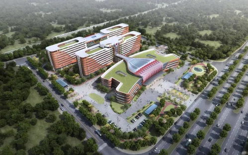 泉州正骨医院北峰院区迎新进展，温州黄龙第一小学建设稳步推进